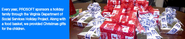 VDSS Holiday Project