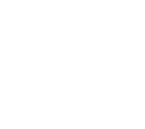 WoundedWarrior